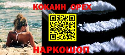 дурь Новодвинск
