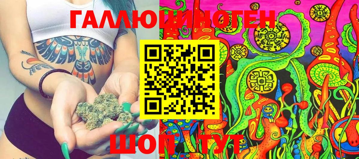Псилоцибиновые грибы Cubensis Алексеевка